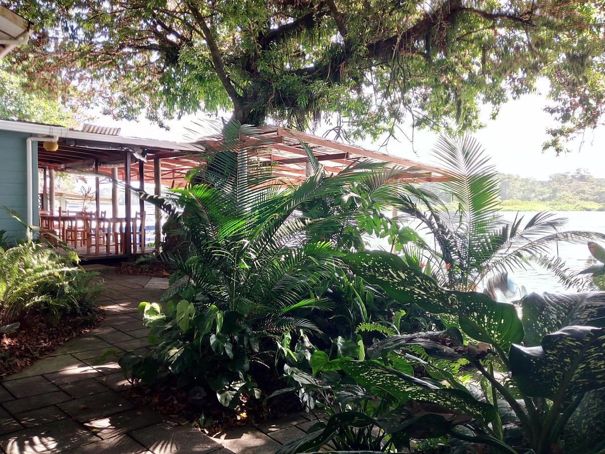 Вілла Casa Marbella Тортугеро Екстер'єр фото